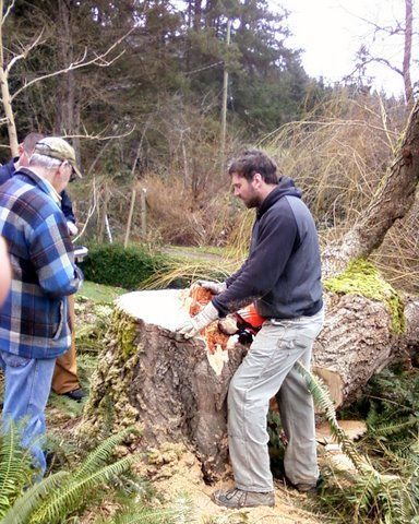 Joel Cuttiford creating plan for stump removal