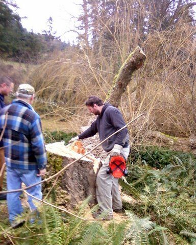 Joel Cuttiford assessing tree stump