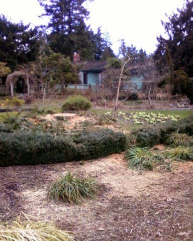 The landscape after what it looks like with the tree removed