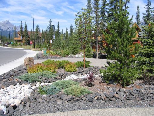 landscaping rockwork design