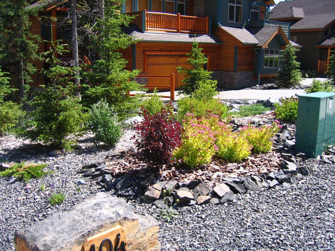 Rain garden system freshly installed for a Victoria BC residence