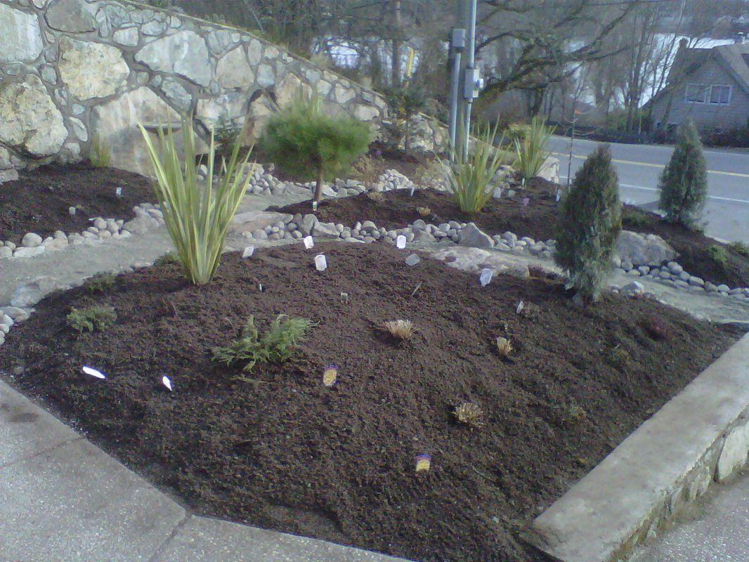 Freshly installed garden with shrub plantings and irrigation design