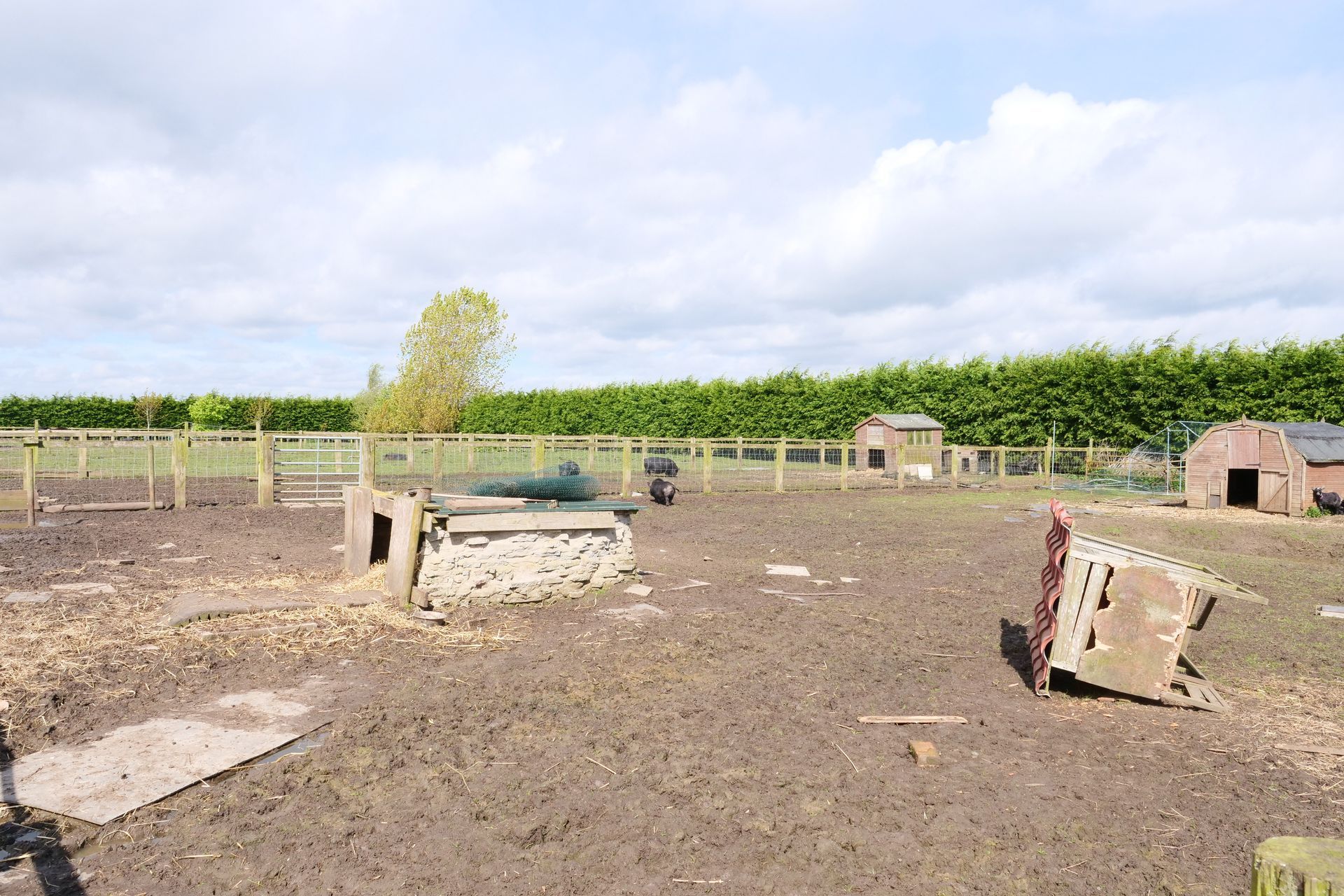 A dirt field with a fence and a few buildings in the background.
