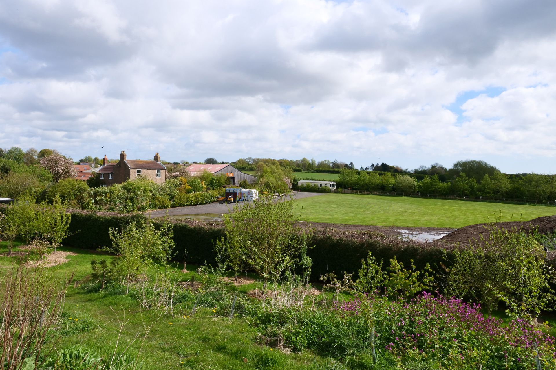A lush green field with a house in the background