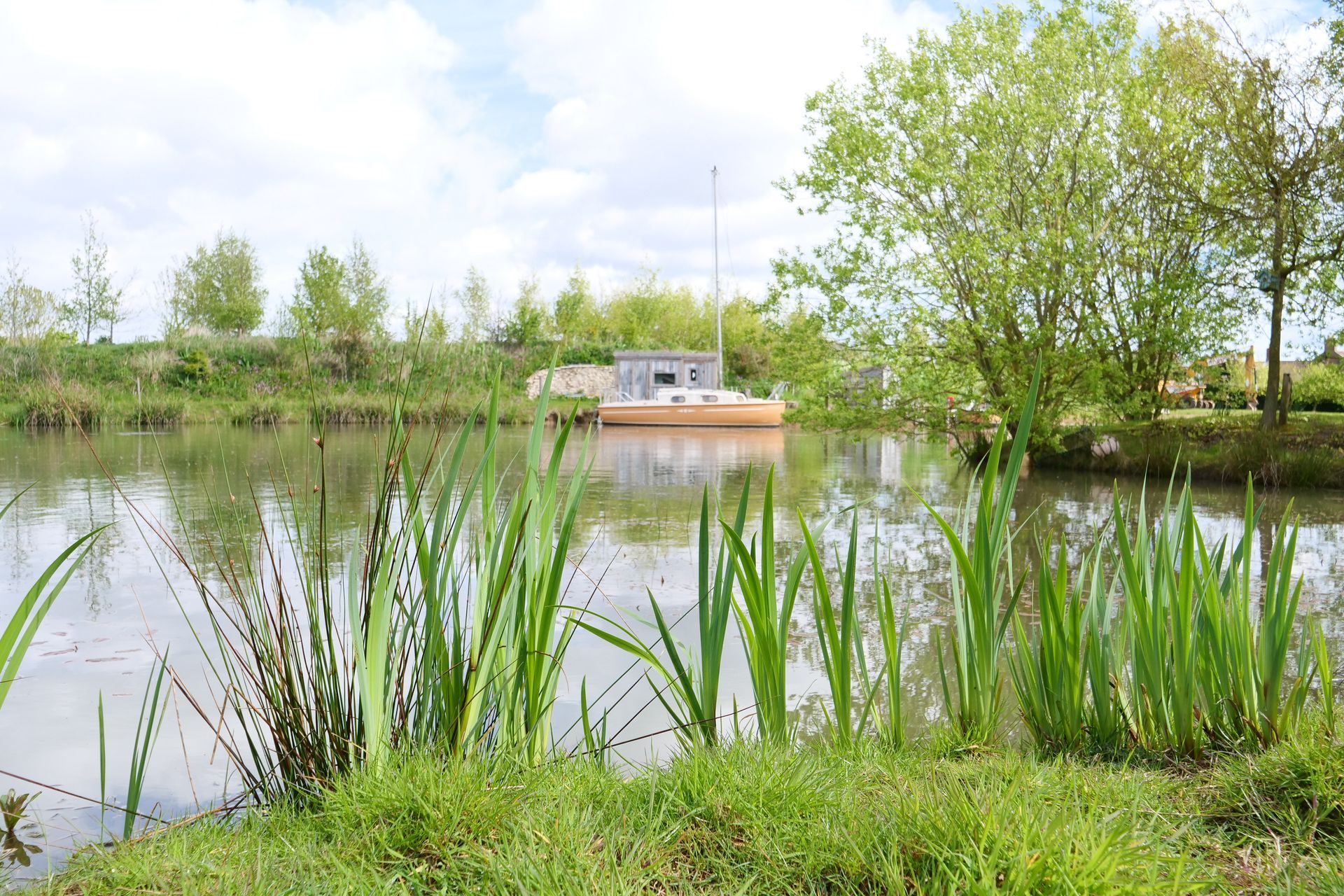 A boat is floating on top of a lake surrounded by tall grass.