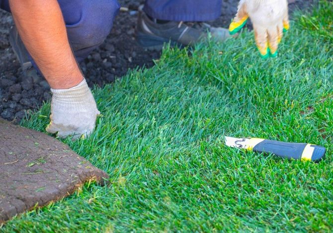 A person in work gloves kneels on gravel, laying fresh sod grass with a utility knife nearby on the lawn.