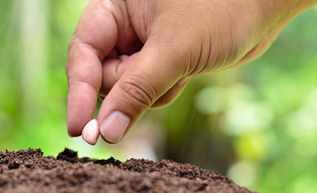 Planting seeds