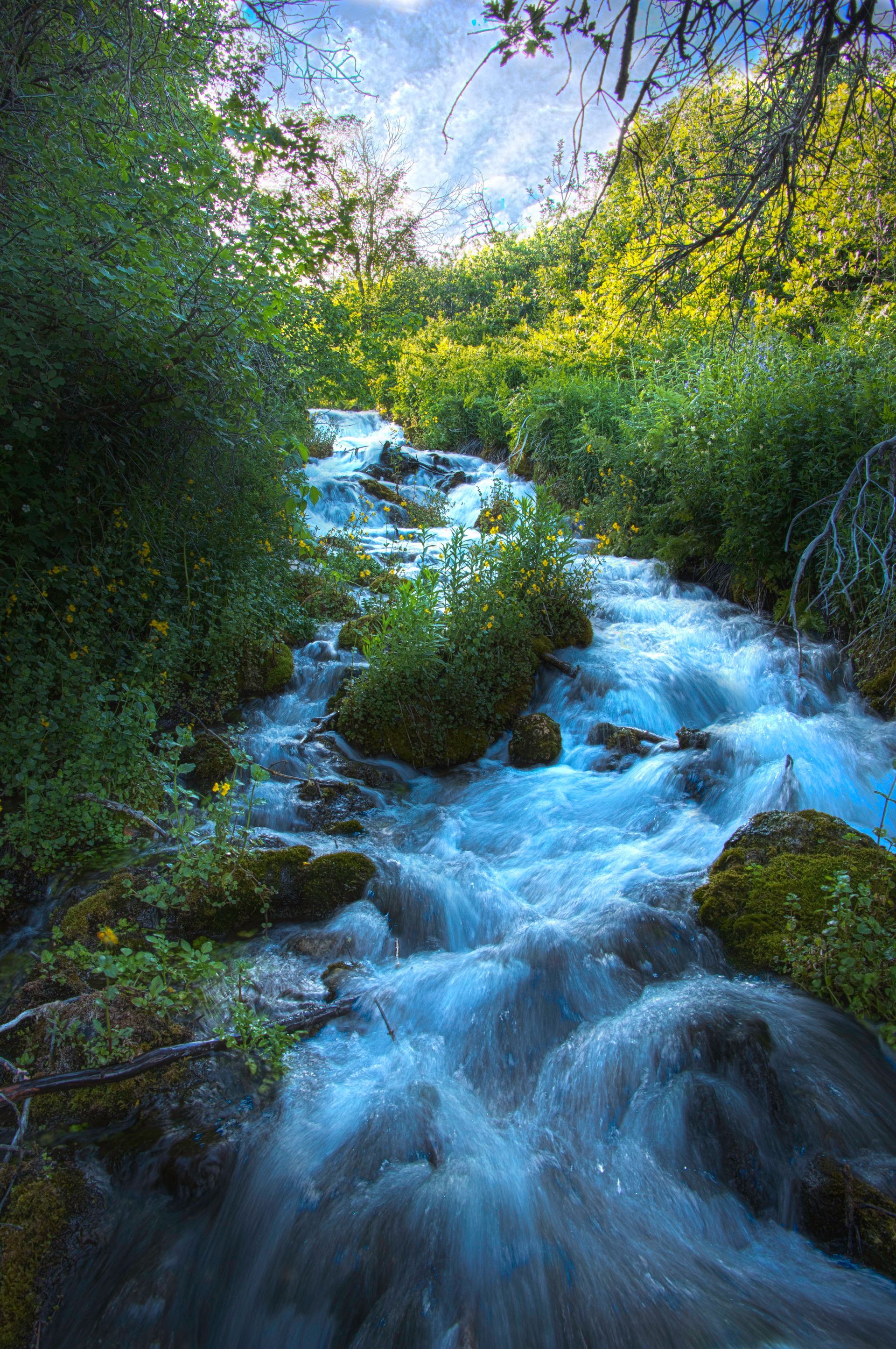 A river flowing through a forest surrounded by trees and rocks.
