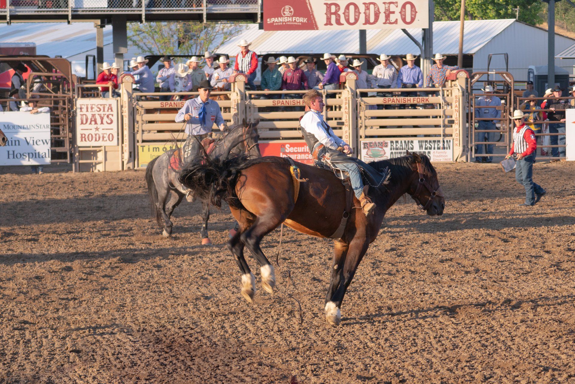 A man riding a horse in a rodeo arena