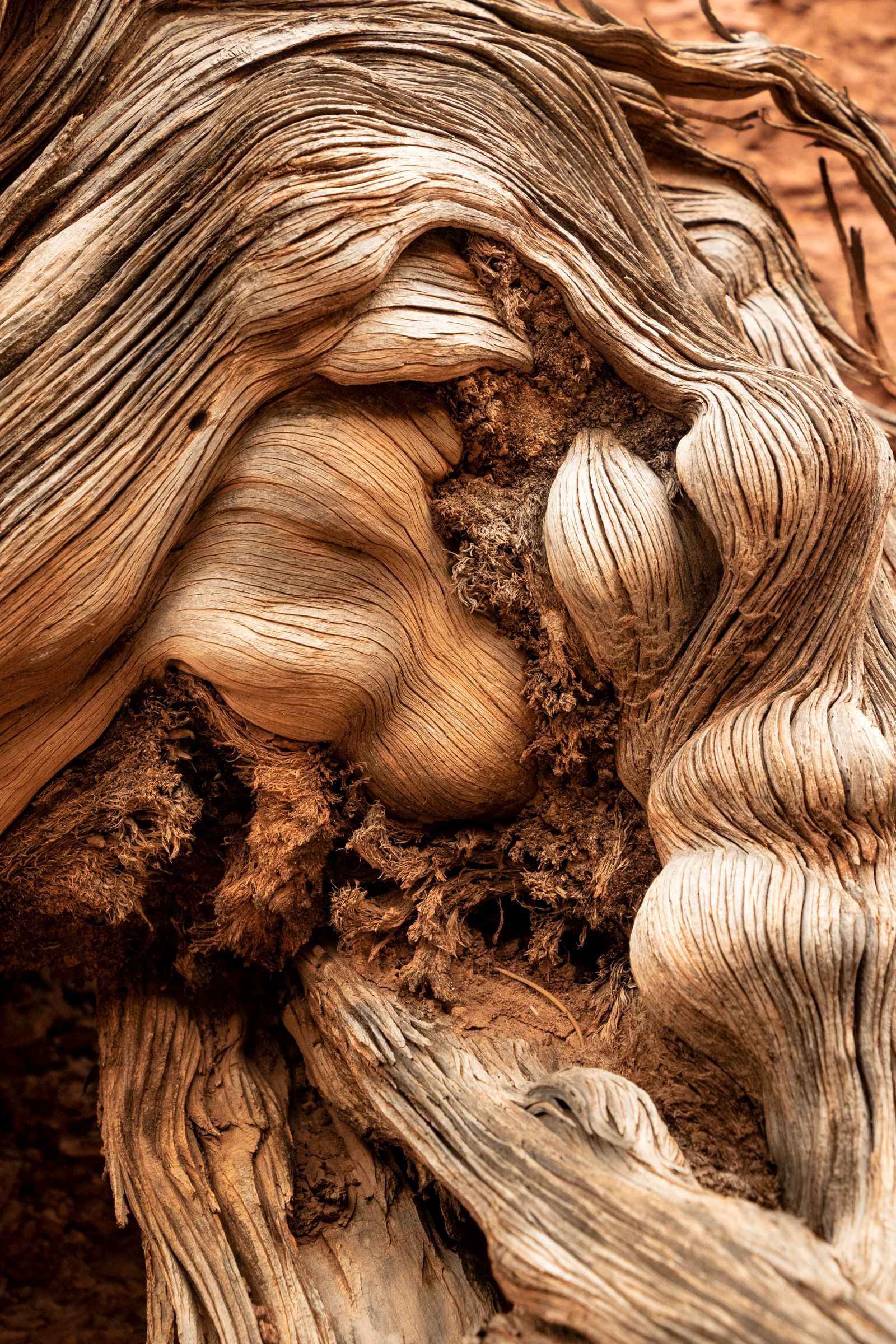 A close up of a piece of wood that looks like a face.