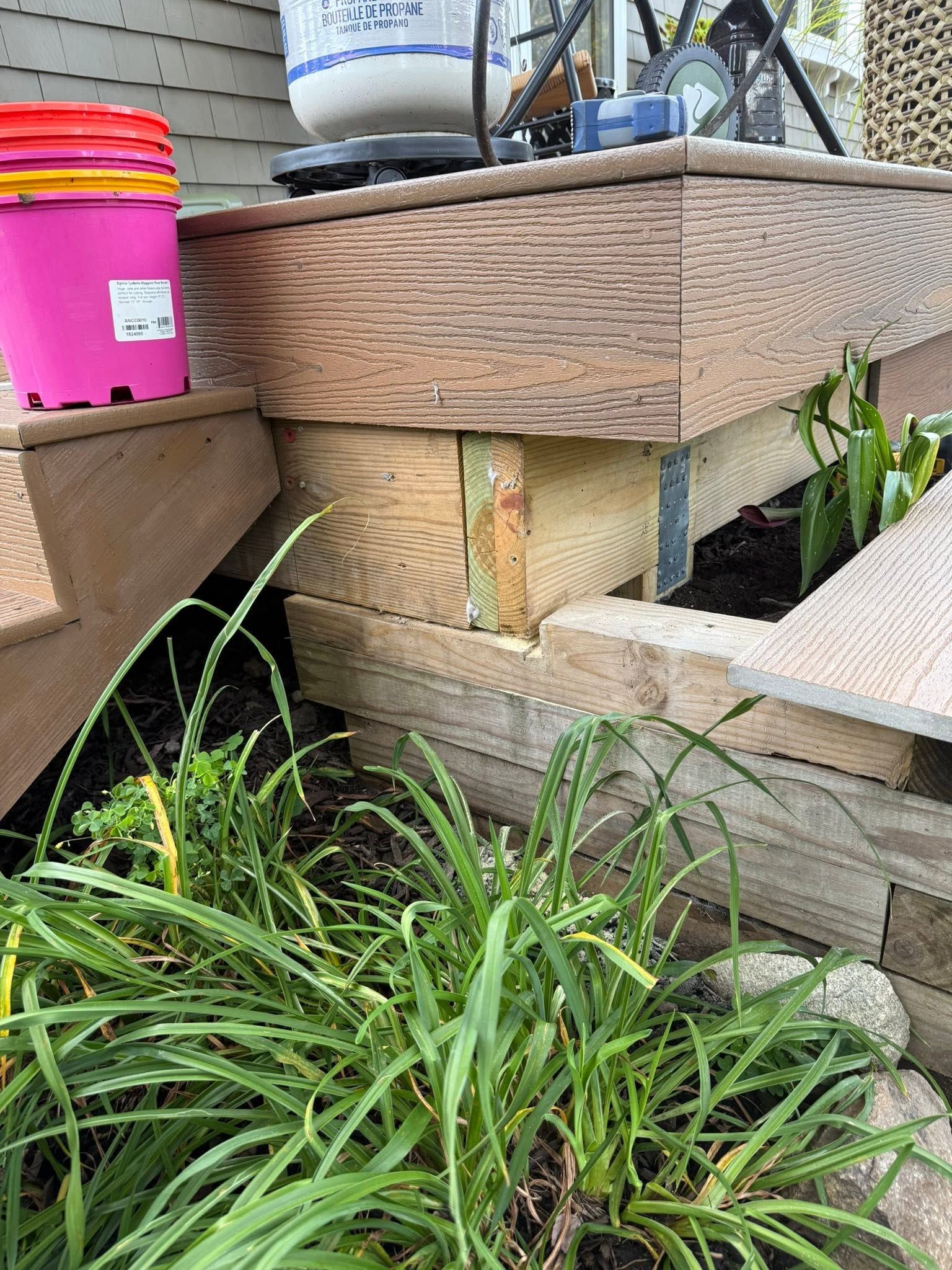 Raised wooden garden planter with green plants, a pink bucket, and a small red insect on the side.