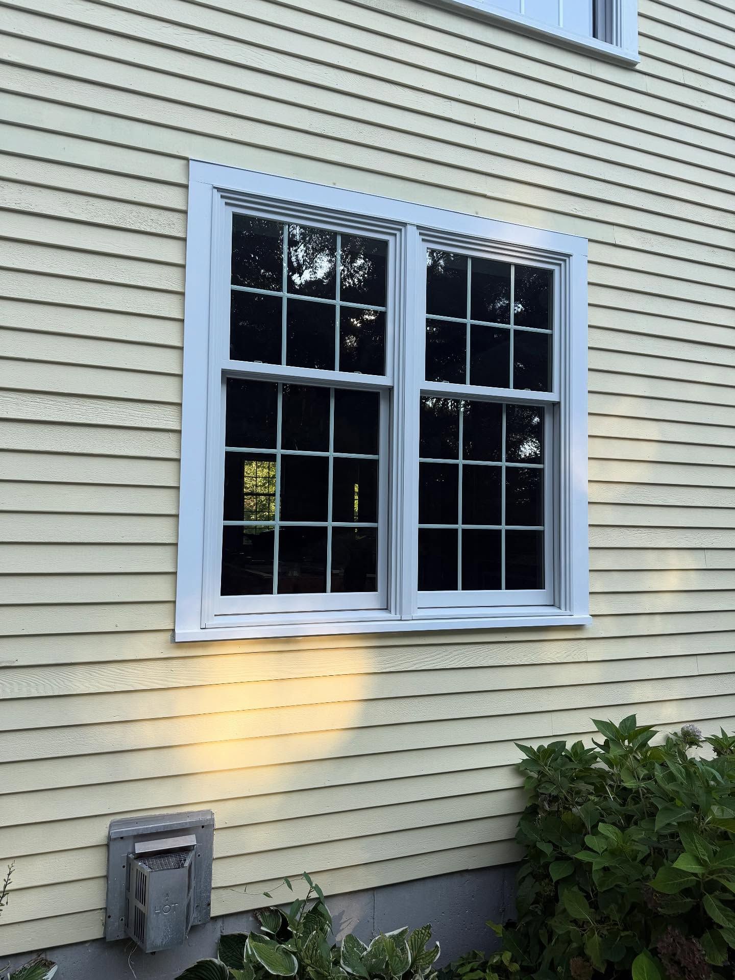 White-trimmed double window on beige house siding with a small utility box and bushes below.