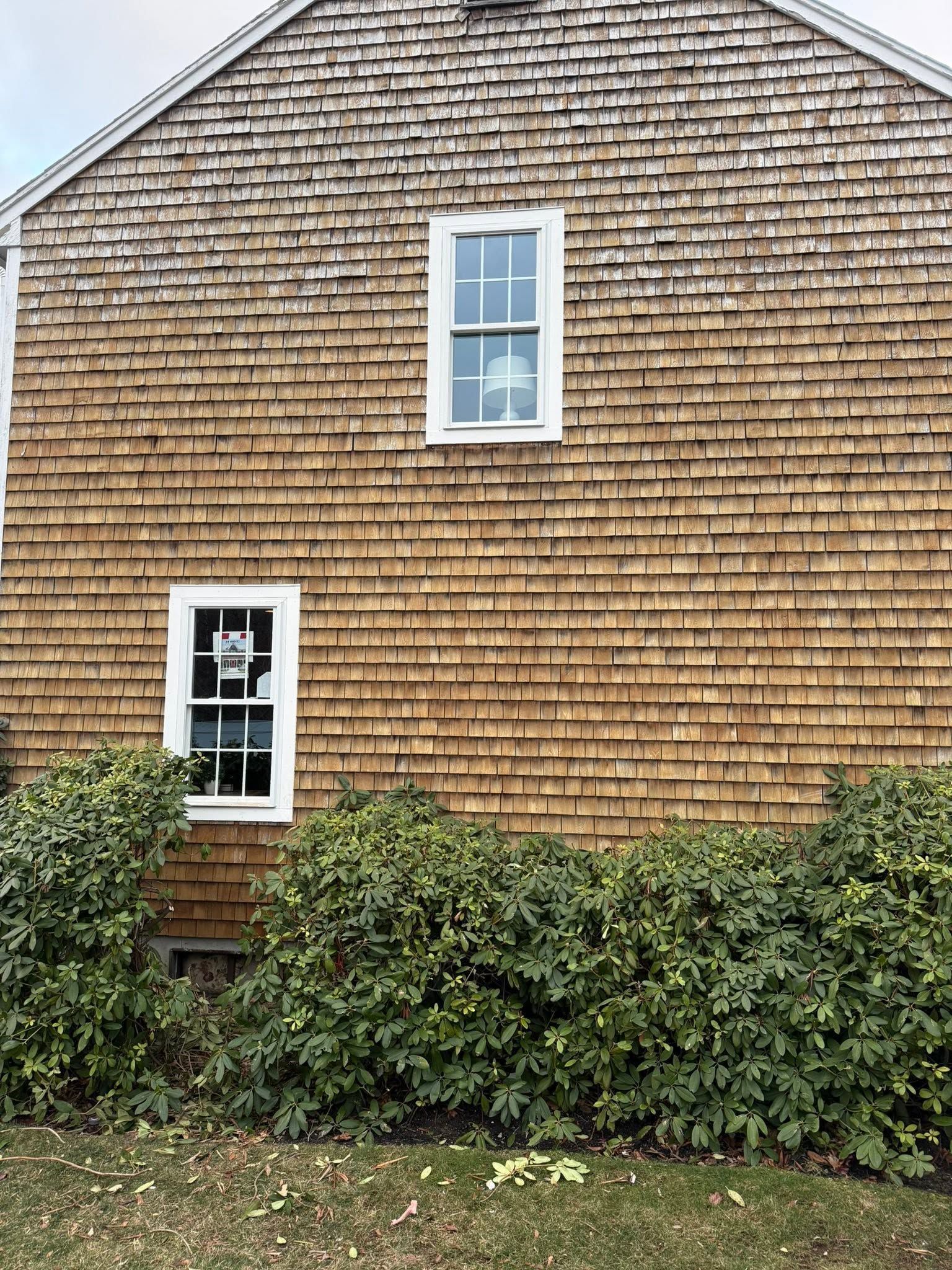Shingled house wall with two white-trimmed windows and green shrubs along the base
