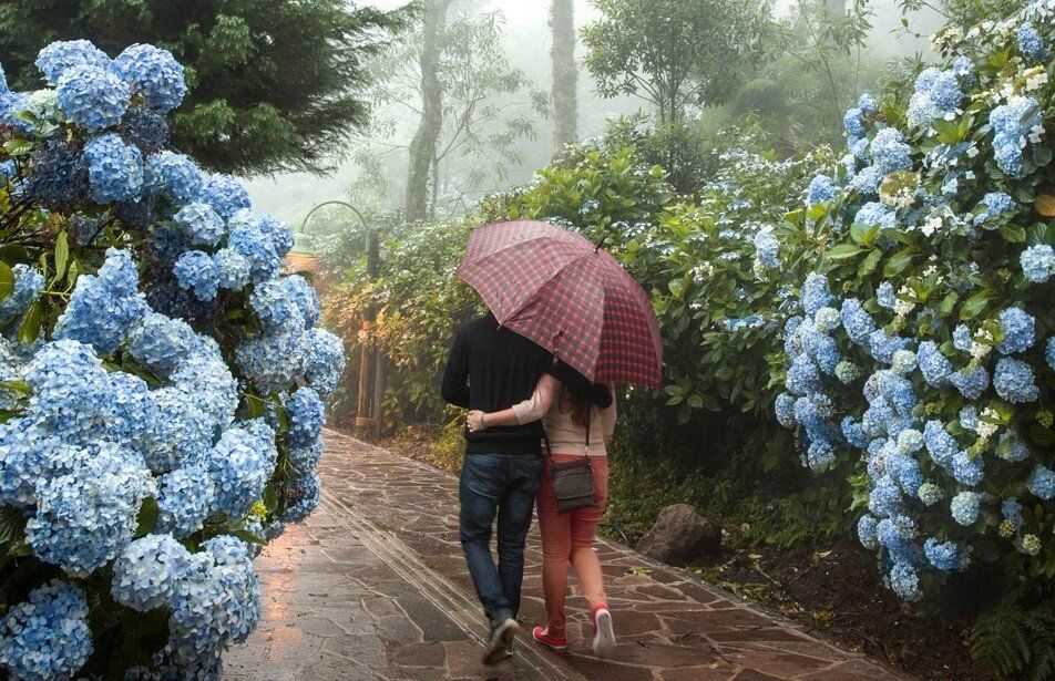Casal andando abraçado sob um guarda chuva em um dia com neblina na trilha com hortênsias no Lago Negro em Gramado