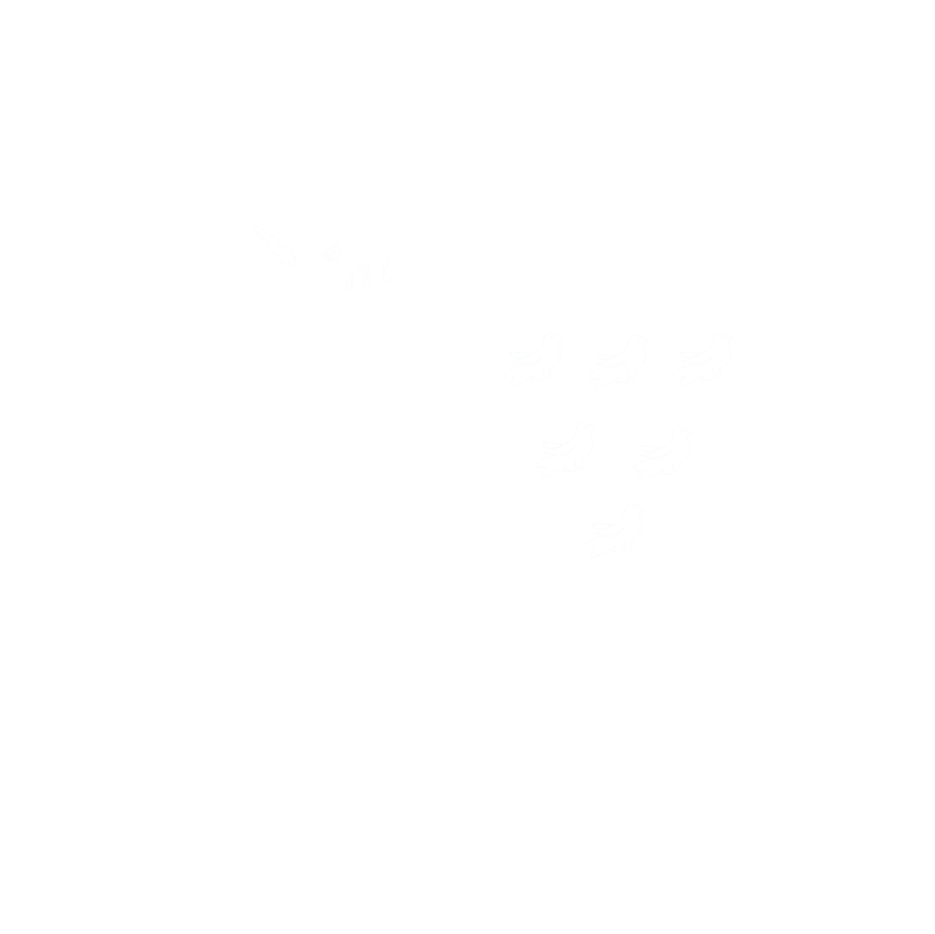 DRAGONS CONSTRUCTION