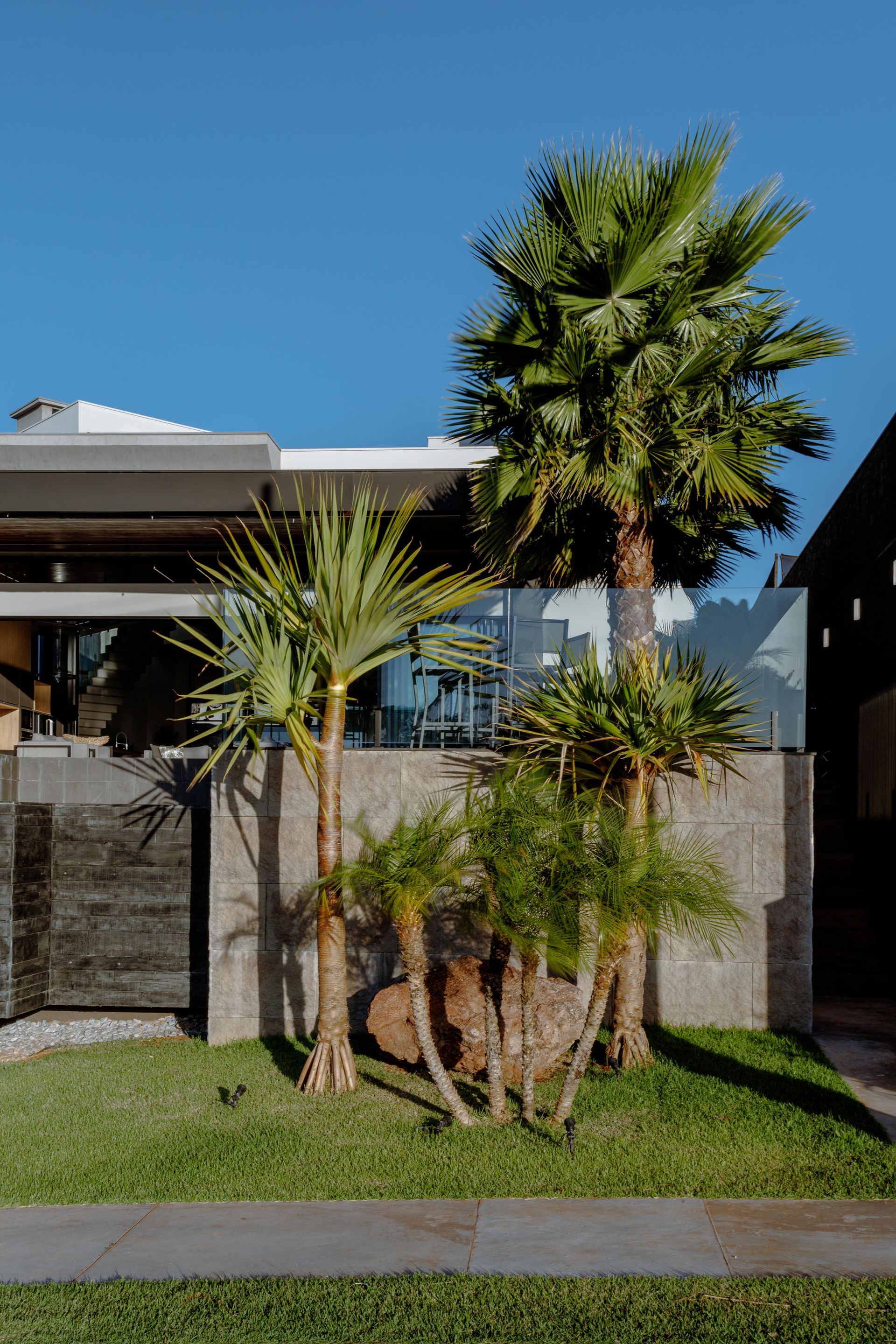 Palmeiras em frente a um edifício moderno com um muro de pedra contra um céu azul brilhante.