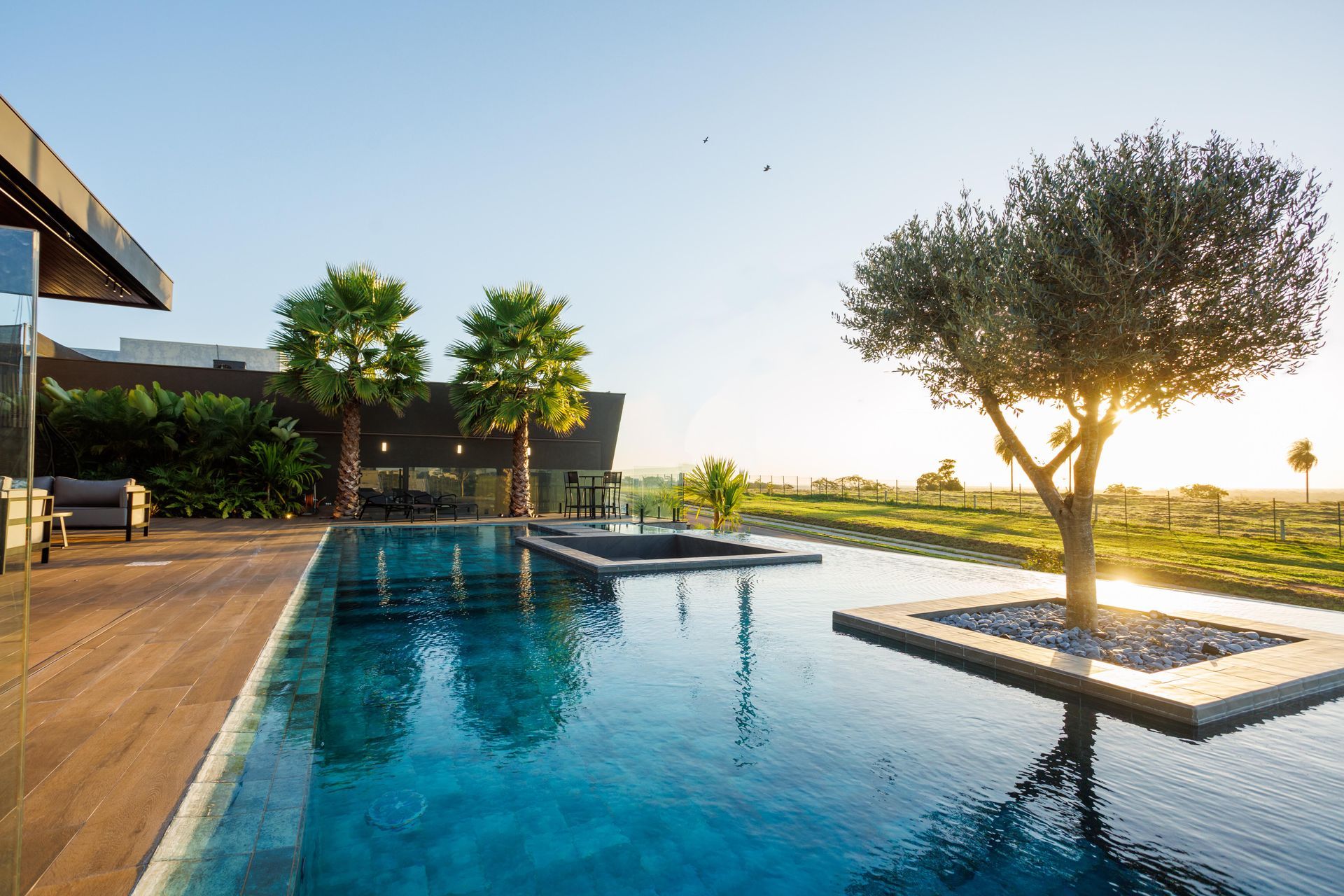 Piscina com oliveira ao pôr do sol; arquitetura moderna.