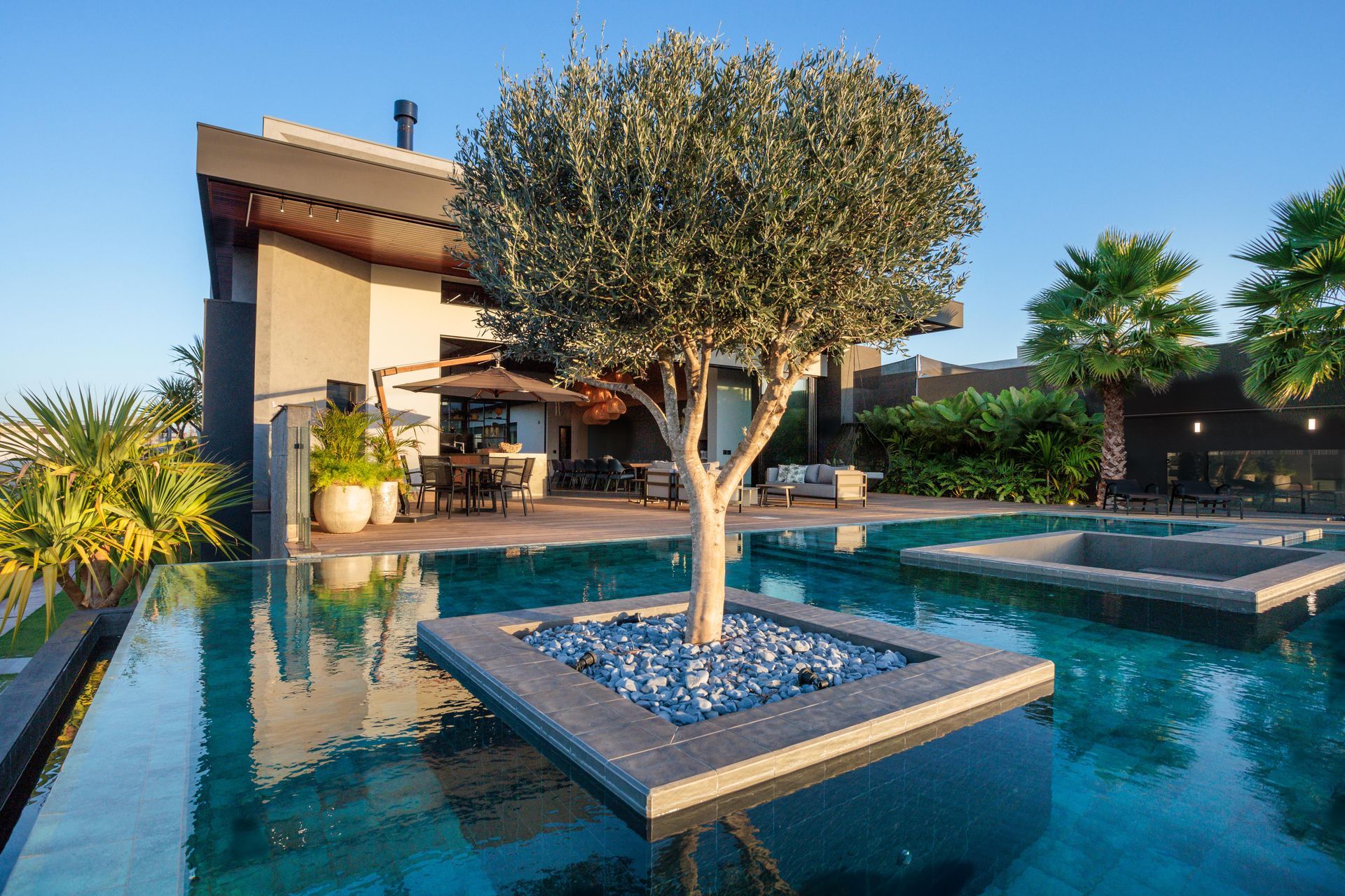 Casa moderna com piscina, oliveira e assentos ao ar livre, banhada pela luz do sol.