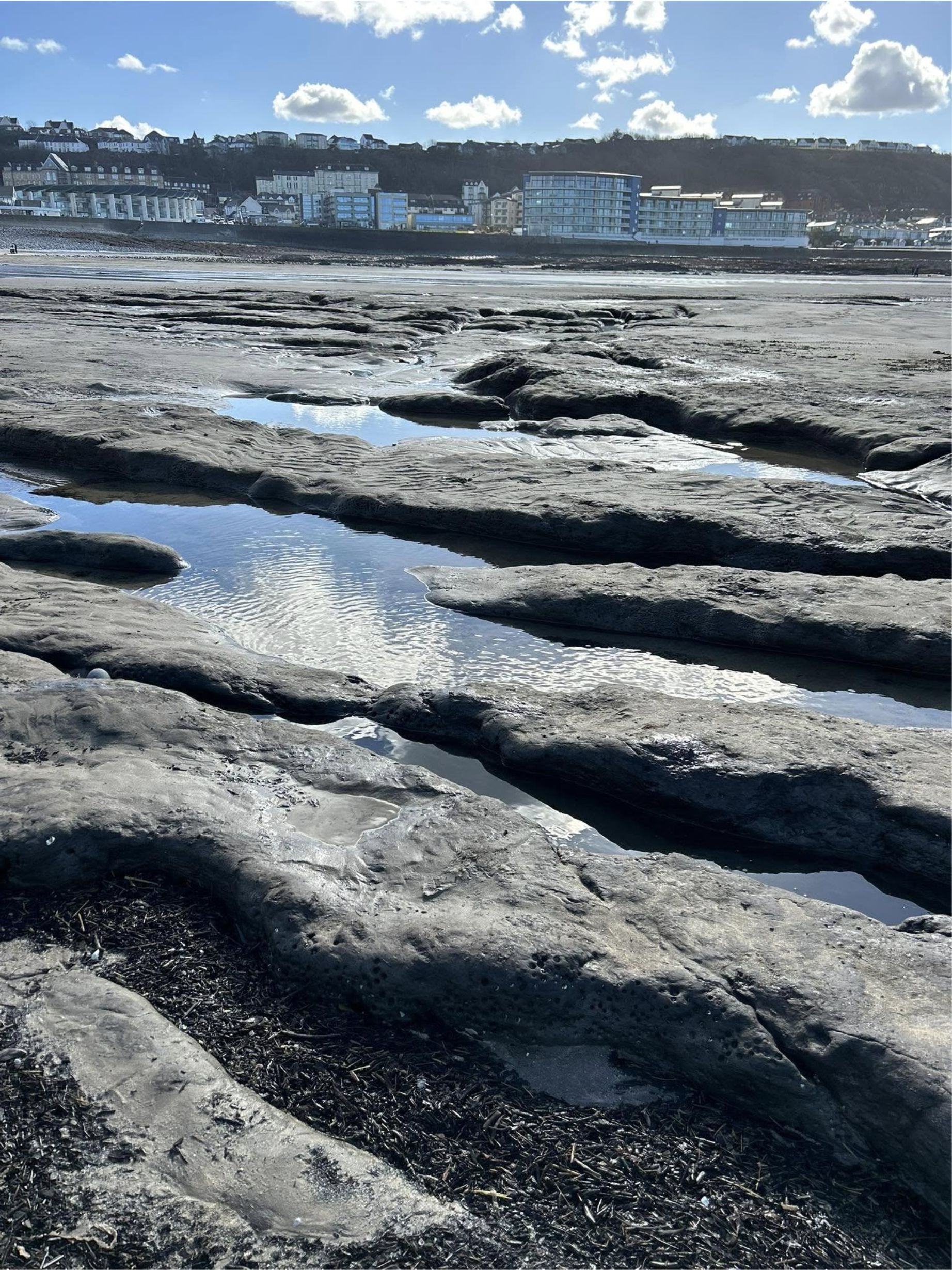 This photo gives you an indication where the ancient neolithic forrest is on the beach.