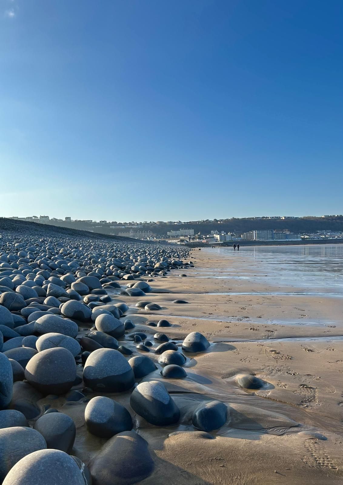 Early morning shot of the pebble ridge at Westward Ho! in Devon with the village in the background. Peaceful and full of nature.