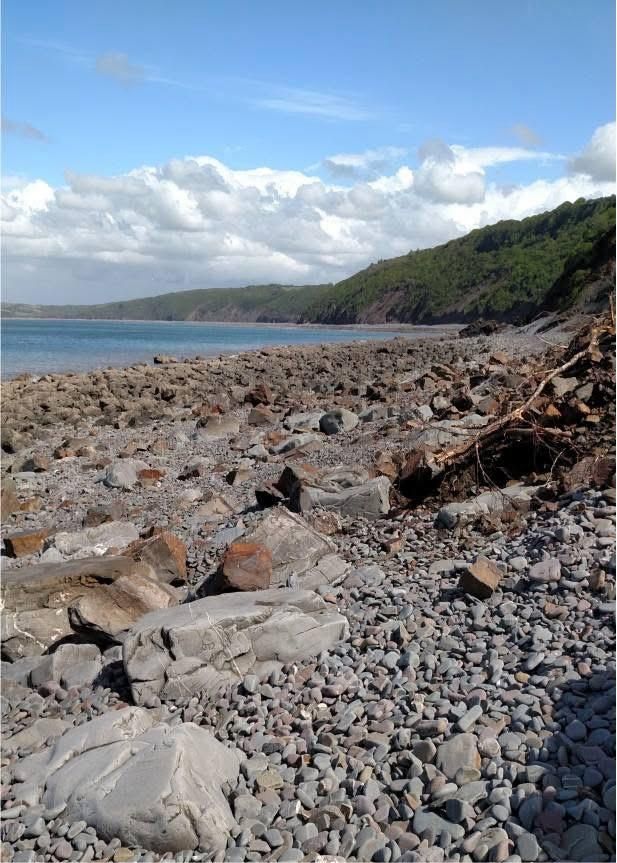 The area of Bucks Mills in North Devon is great coastline, rocky beach, forrests and stunning South West coast path.