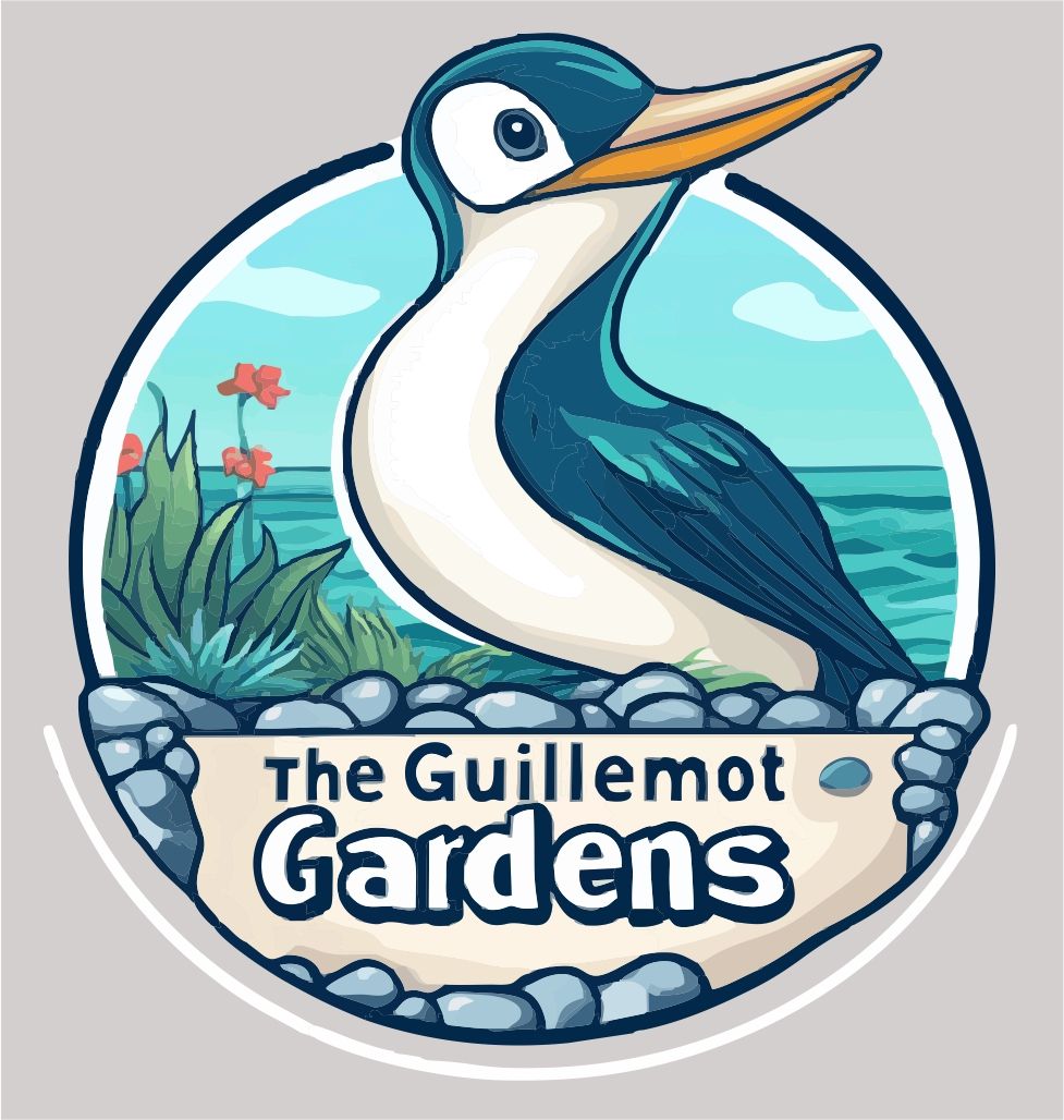 The Guillemot Gardens on Westward Ho! village green is a brilliant live music venue.