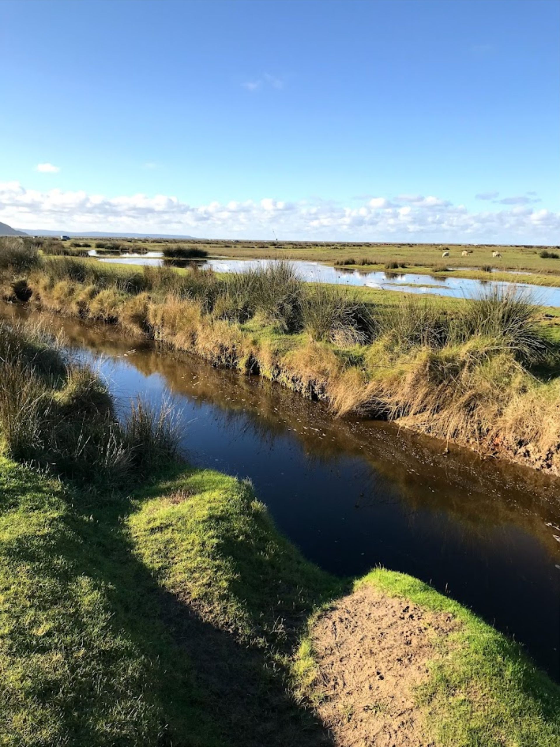 Northam Burrows County park is an area of outstanding natural beauty in North Devon. Attached to Westward Ho! this area is fully of nature