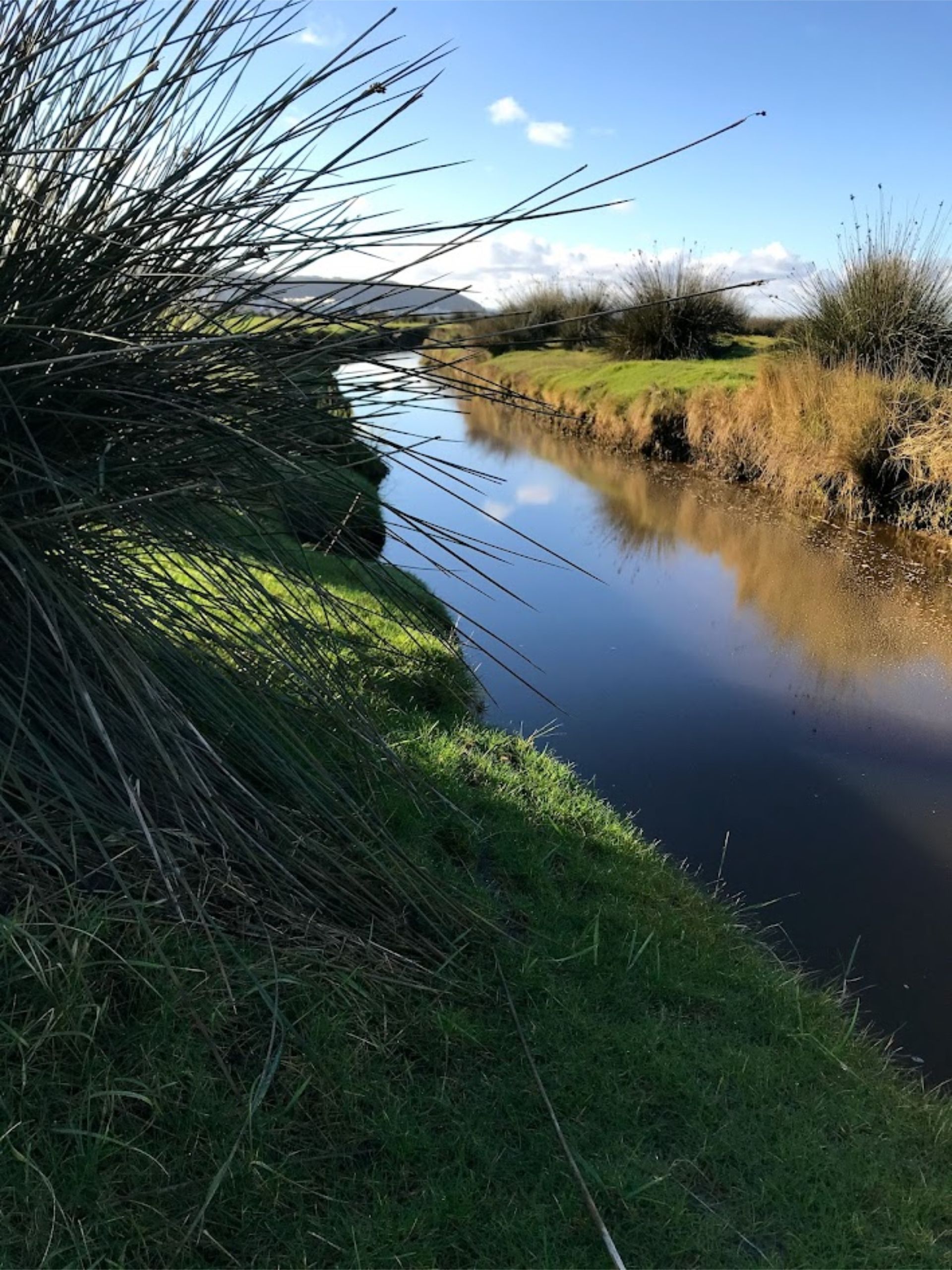 Explore Northam Burrows park in Westward Ho! is beautiful, a designated area of natural beauty within a national biosphere