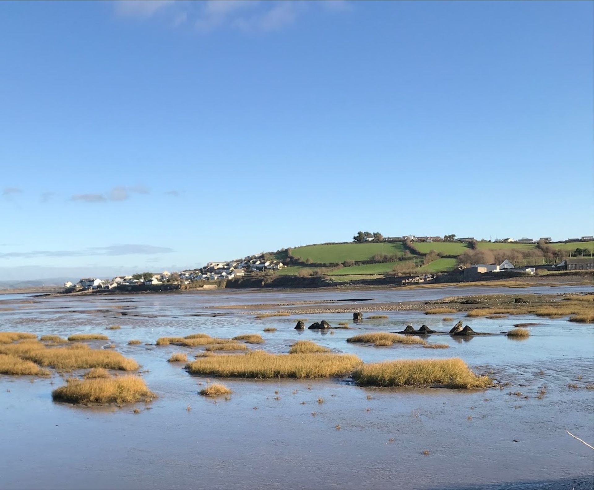 Big expanses of salt marshes are a perfect nesting/breeding ground for many types of sea birds and an integral part of the local eco system