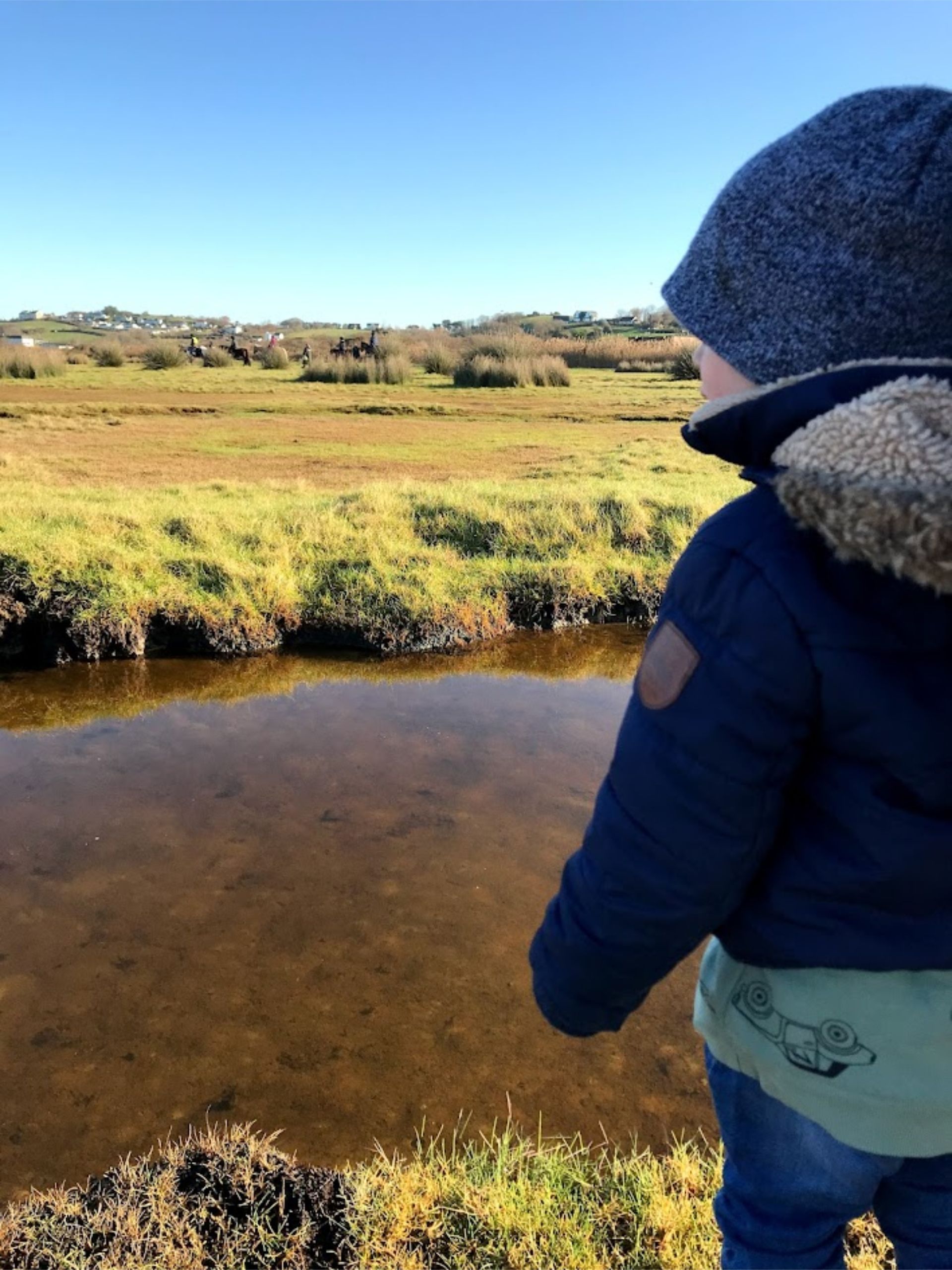 So much to see and do in Northam Burrows County park, so much nature and wildlife plus you can go to the Visitors centre/education centre and learn all about it