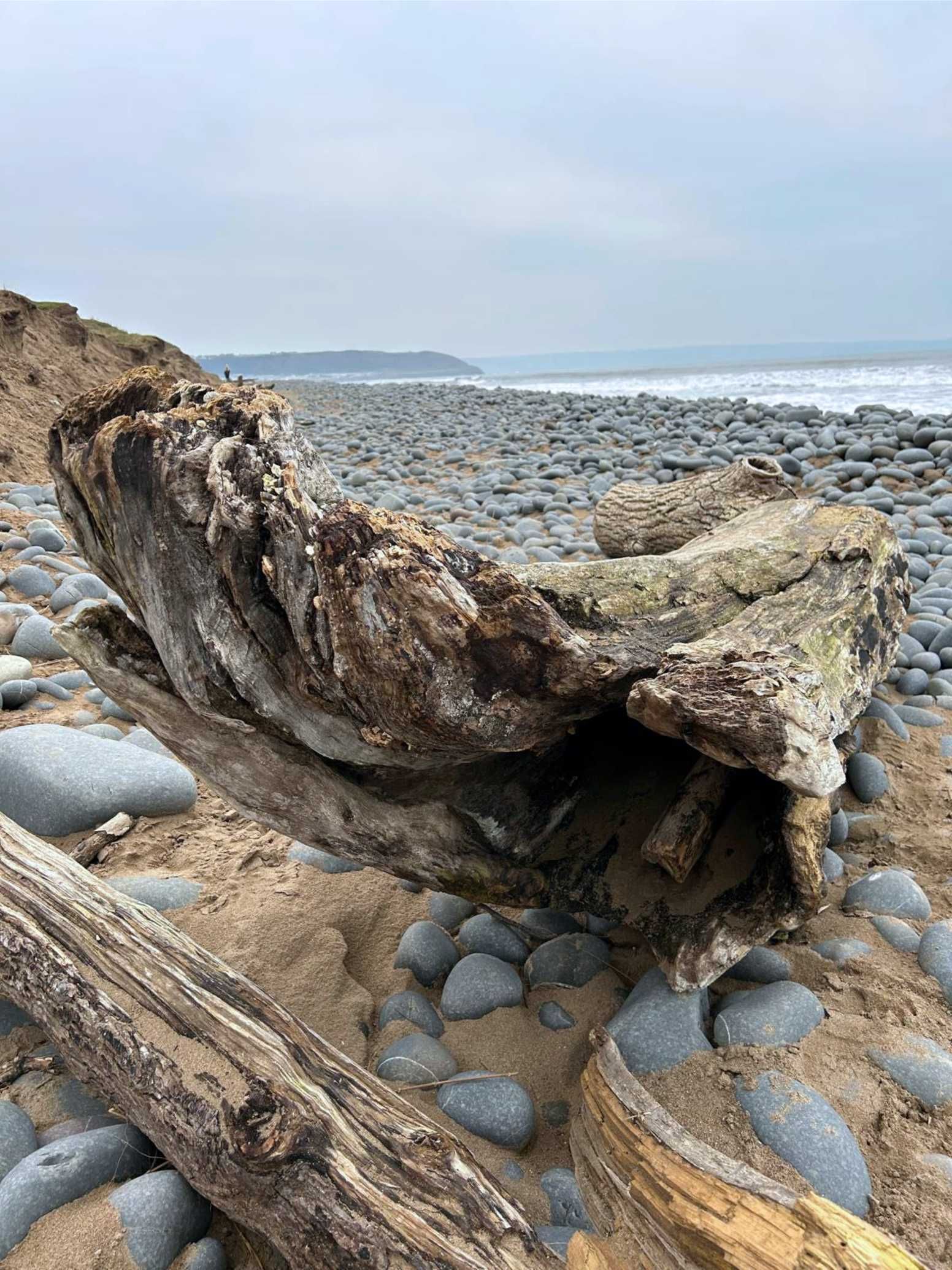 Where the Ocean meets Northam Burrows in Westward Ho! is a very special, peaceful place. An area of natural beauty and varied nature