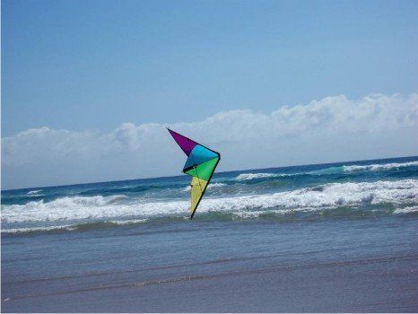 Flying a kite at Westward Ho! beach is great fun, it gets you out into the fresh air and is a lot of fun