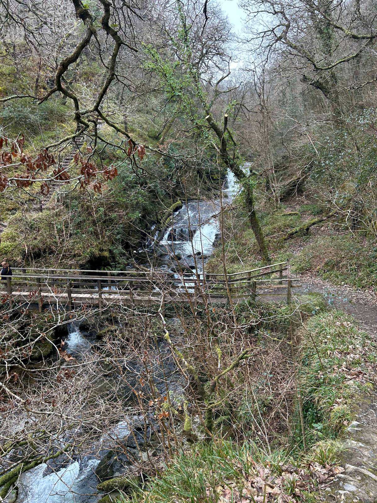 Ancient woodland trail awits those that visit the Lynn valley and Watersmeet near Lynmouth in North Devon