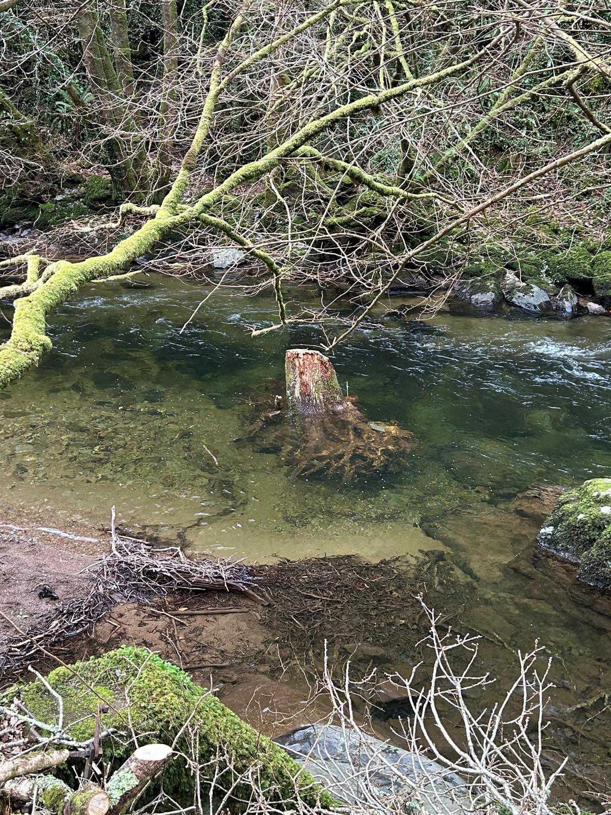 The river is so clear and fresh, a perfect breeding ground for Atlantic Salmon and home to brook trout.