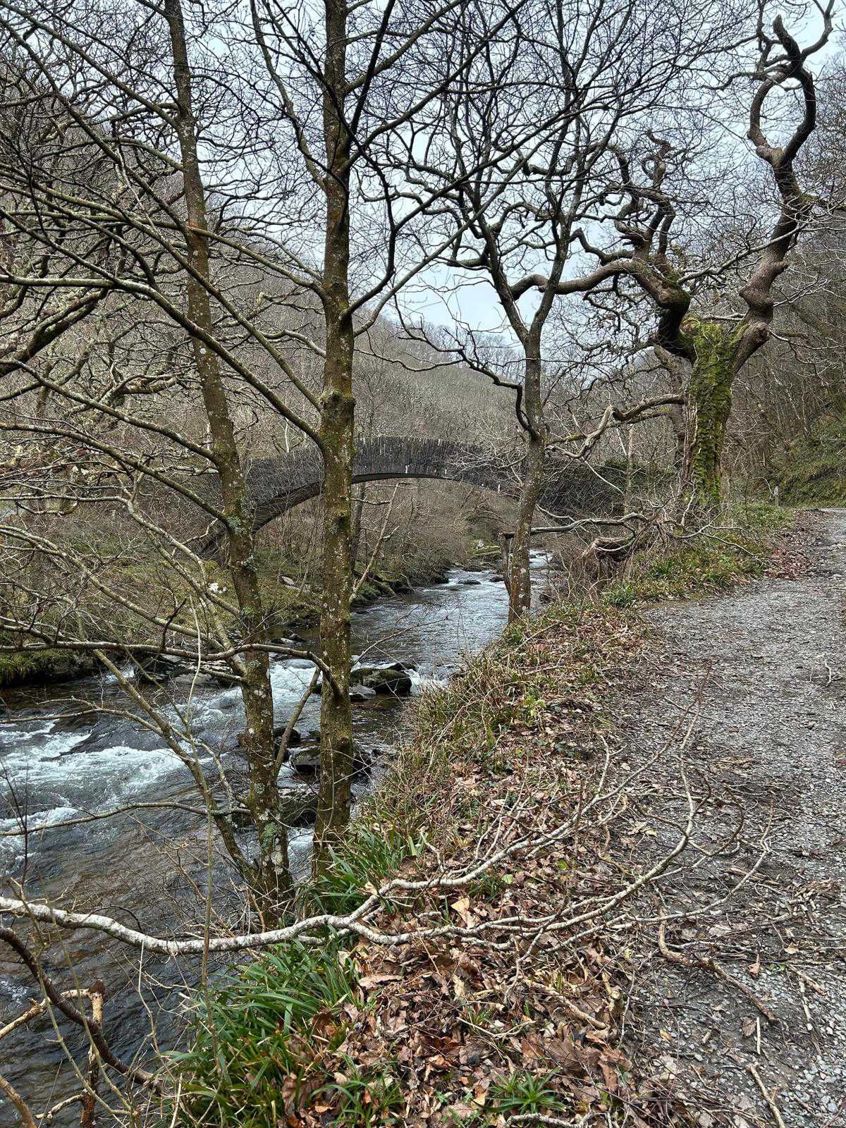 Several bridges cross the river giving access to both river banks, this helps creating a circular walk that is ever changing. The East Lynn river is just stunning. 