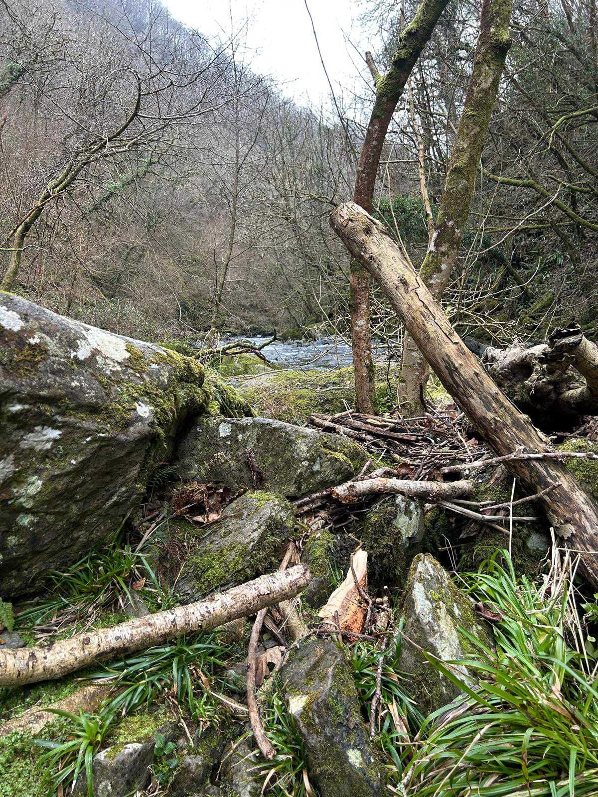 Natural ancient forrests line the river bank of the East Lynn winding slowly down to Lynmouth and onto the open ocean. In the centre of Exmoor this area does attract holiday makers.