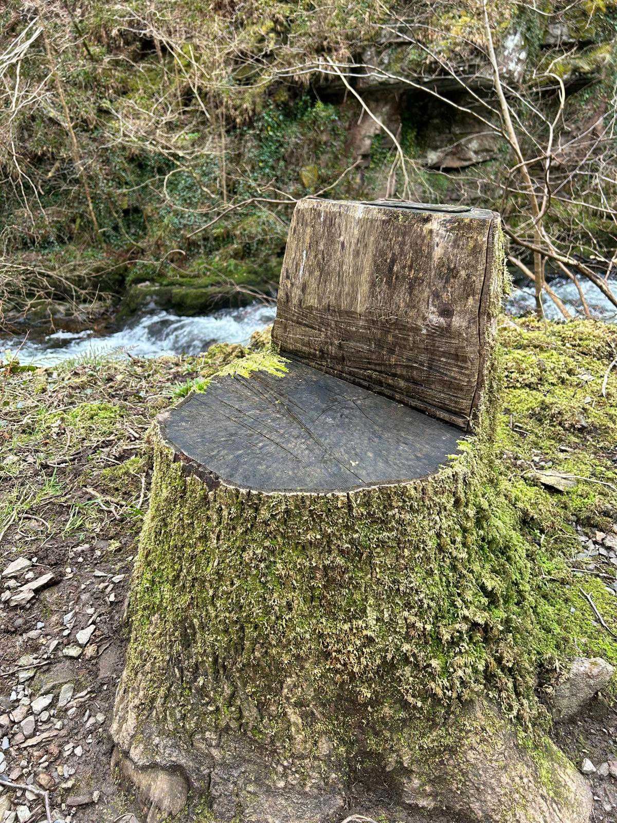 A chair carved by a chain saw on the river path to Lynmouth. A seat created from a downed tree