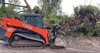 A skid steer is parked in a yard surrounded by trees.