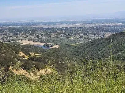 Tree Services West Covina - plays a crucial role in preserving the lush greenery of Claremont Hills Wilderness Park, a scenic destination offering breathtaking views of the city below.