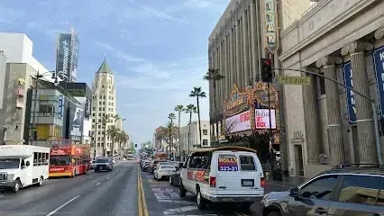 Tree Services West Covina – A bustling scene on Hollywood Boulevard captures the energy of Los Angeles, featuring the iconic Hollywood Walk of Fame and historic theaters.