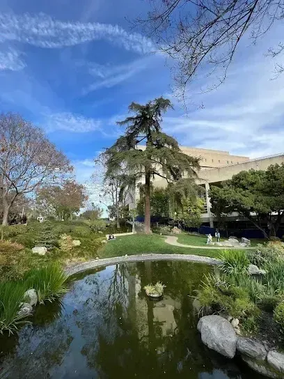Tree Removal Service West Covina -A scenic view of a pond with lush greenery and trees, reflecting the sky and a modern building.