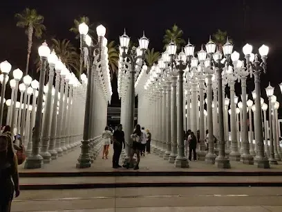 Tree Services West Covina –Urban Light installation at LACMA featuring rows of vintage lampposts at night with people walking among them.