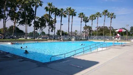 Tree Services West Covina Public outdoor swimming pool with clear blue water, surrounded by palm trees under a sunny sky. A few people swim while a lifeguard watches nearby.