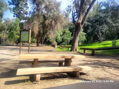 Tree Services West Covina ensures the surrounding urban environment, including recreational spots like Chaparral Lanes, remains safe and visually appealing.