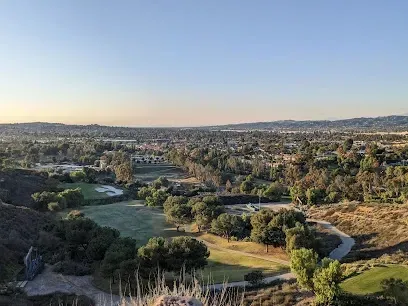 Tree Services West Covina-A sunny playground with multiple blue and yellow slides, climbing structures, and ladders on a rubber floor, surrounded by trees and clear skies.