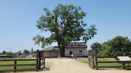 Tree Services West Covina helps maintain the natural beauty of Potato Mountain, a popular hiking destination offering panoramic views of the surrounding city and landscape.