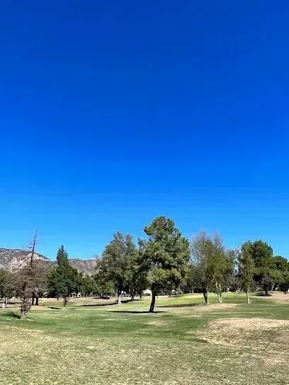 Tree Services West Covina plays a vital role in maintaining the health and beauty of green spaces like Rancho Duarte Golf Course.