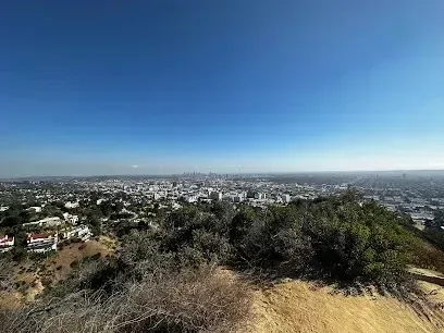 Tree Services West Covina - View of a sprawling city skyline from a hilltop covered in dry brush and green trees under a clear blue sky.