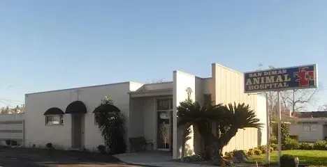 Tree Services West Covina ensures that properties like San Dimas Animal Hospital maintain a safe and well-kept outdoor environment.