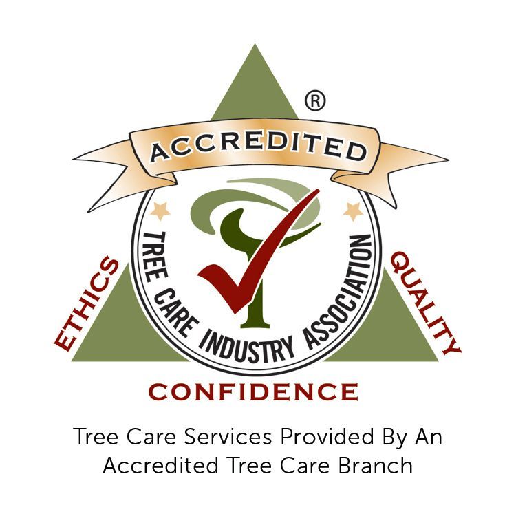 Tree Removal Service West Covina -Accredited Tree Care Industry Association logo: green triangle with banner and circle, red check mark.